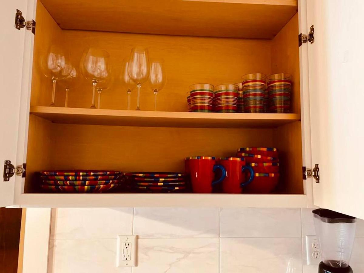 Elm Street Cottage Seguin Εξωτερικό φωτογραφία